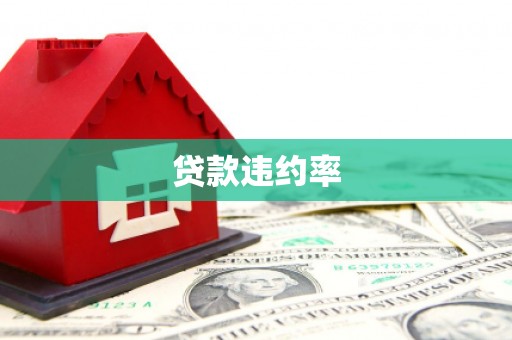 上饶贷款违约率