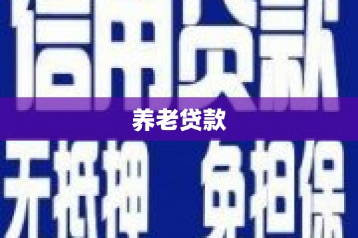 上饶养老贷款