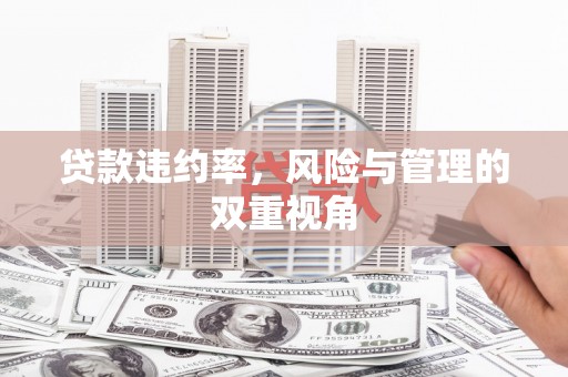 上饶贷款违约率，风险与管理的双重视角