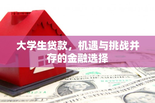 上饶大学生贷款，机遇与挑战并存的金融选择