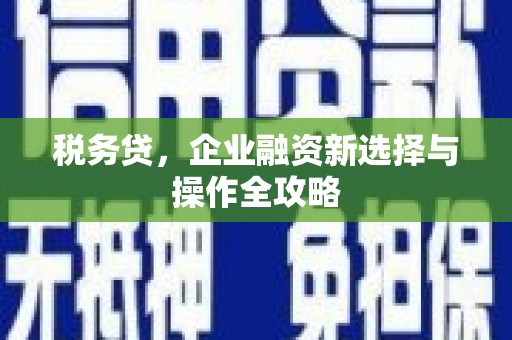 上饶税务贷，企业融资新选择与操作全攻略