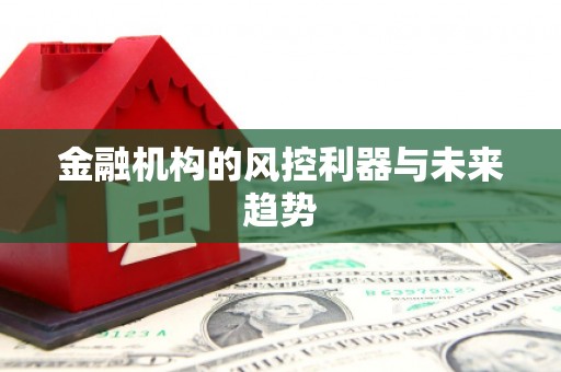 上饶金融机构的风控利器与未来趋势