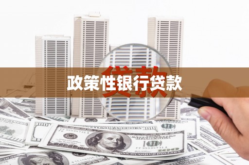 上饶政策性银行贷款