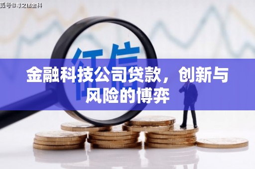 上饶金融科技公司贷款，创新与风险的博弈