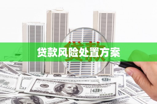 上饶贷款风险处置方案