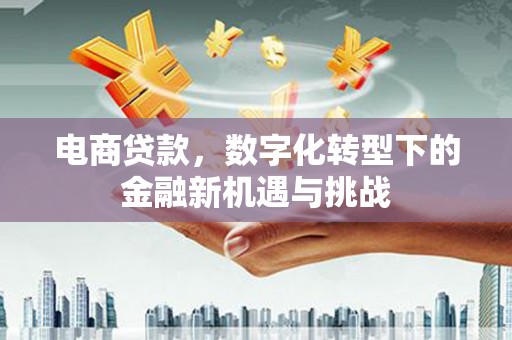 上饶电商贷款，数字化转型下的金融新机遇与挑战