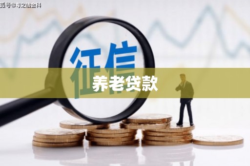 上饶养老贷款