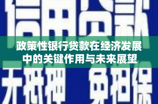 上饶政策性银行贷款在经济发展中的关键作用与未来展望
