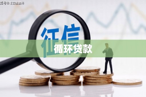上饶循环贷款