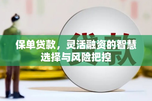 上饶保单贷款，灵活融资的智慧选择与风险把控