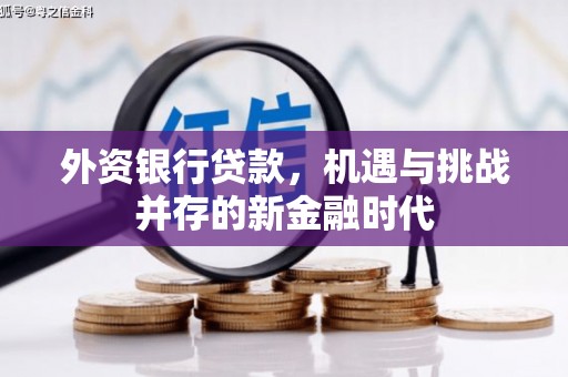 上饶外资银行贷款，机遇与挑战并存的新金融时代