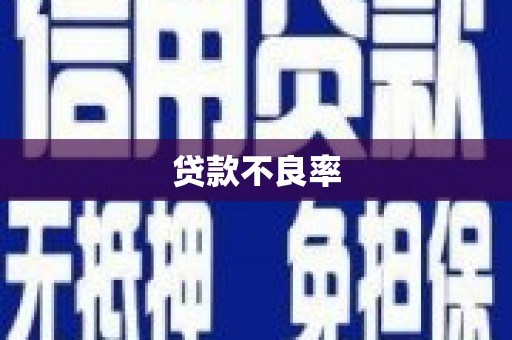 上饶贷款不良率