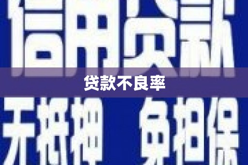 上饶贷款不良率