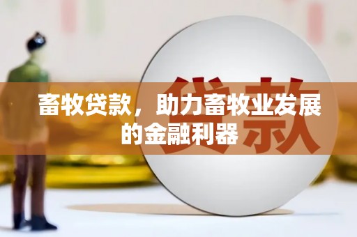 上饶畜牧贷款，助力畜牧业发展的金融利器