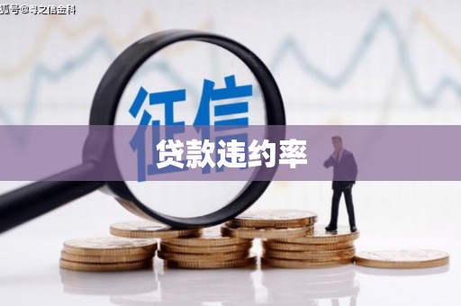 上饶贷款违约率