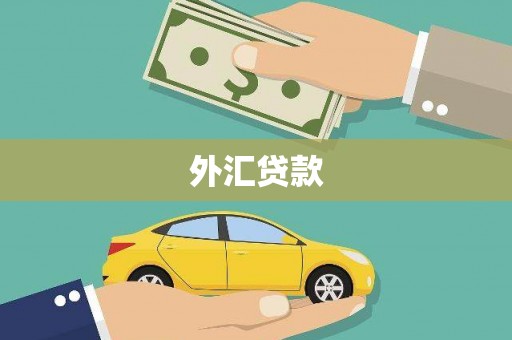 上饶外汇贷款