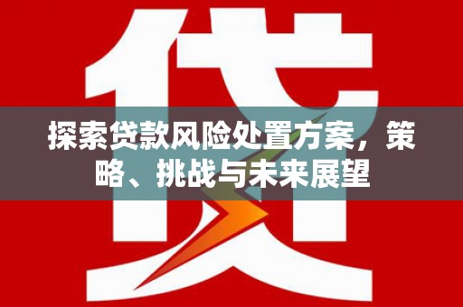 上饶探索贷款风险处置方案，策略、挑战与未来展望