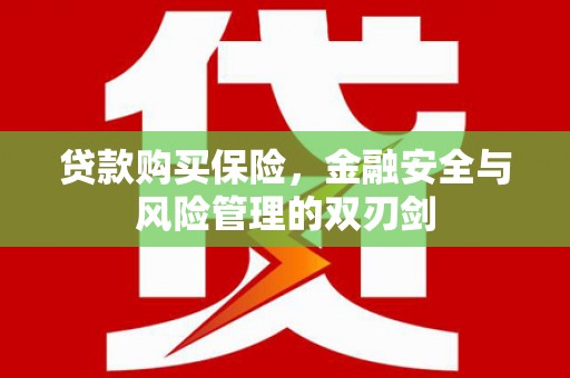 上饶贷款购买保险，金融安全与风险管理的双刃剑
