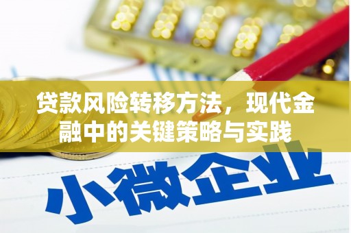 上饶贷款风险转移方法，现代金融中的关键策略与实践
