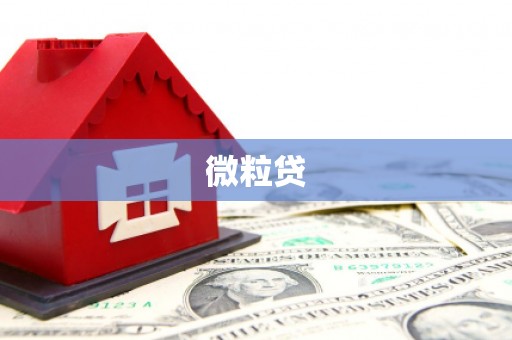 上饶微粒贷