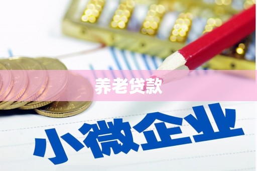 上饶养老贷款