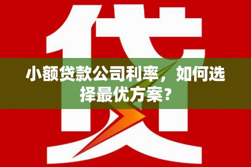 上饶小额贷款公司利率，如何选择最优方案？
