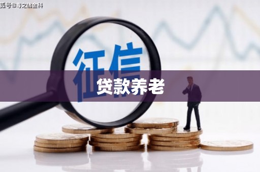 上饶贷款养老