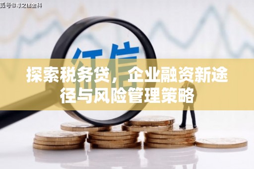 上饶探索税务贷，企业融资新途径与风险管理策略