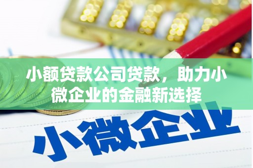 上饶小额贷款公司贷款，助力小微企业的金融新选择