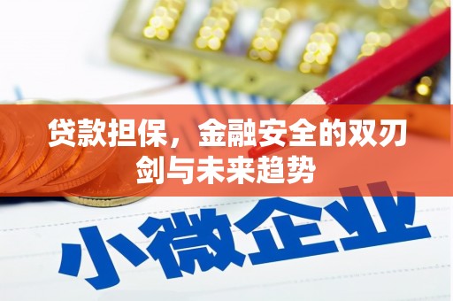 上饶贷款担保，金融安全的双刃剑与未来趋势
