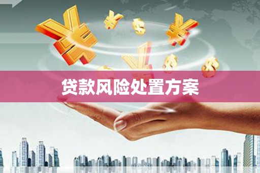 上饶贷款风险处置方案