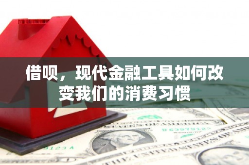 上饶借呗，现代金融工具如何改变我们的消费习惯