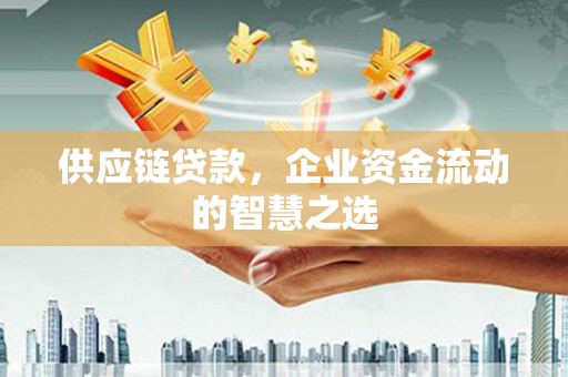 上饶供应链贷款，企业资金流动的智慧之选