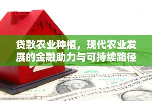 上饶贷款农业种植，现代农业发展的金融助力与可持续路径
