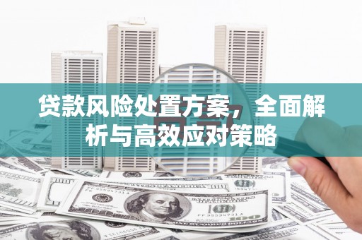 上饶贷款风险处置方案，全面解析与高效应对策略