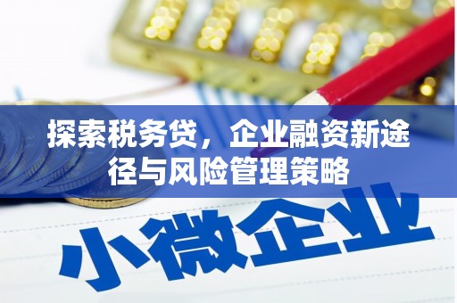 上饶探索税务贷，企业融资新途径与风险管理策略