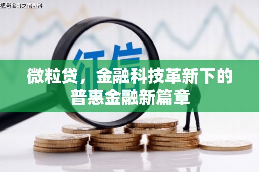 上饶微粒贷，金融科技革新下的普惠金融新篇章