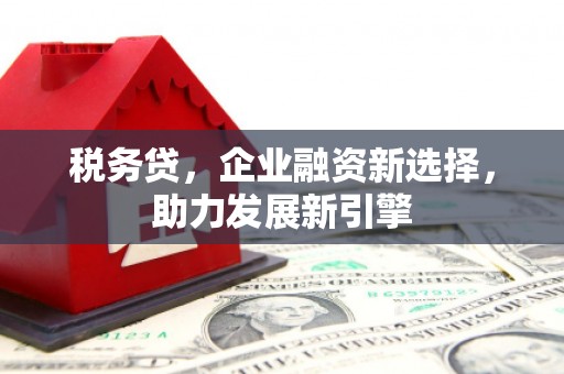 上饶税务贷，企业融资新选择，助力发展新引擎