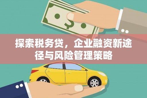 上饶探索税务贷，企业融资新途径与风险管理策略