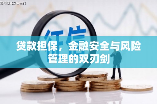 上饶贷款担保，金融安全与风险管理的双刃剑