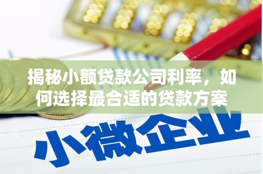 上饶揭秘小额贷款公司利率，如何选择最合适的贷款方案