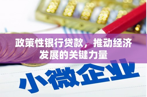 上饶政策性银行贷款，推动经济发展的关键力量