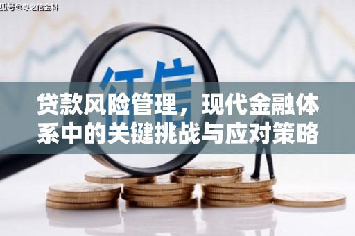 上饶贷款风险管理，现代金融体系中的关键挑战与应对策略