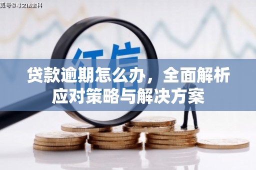 上饶贷款逾期怎么办，全面解析应对策略与解决方案