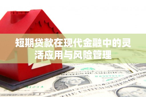 上饶短期贷款在现代金融中的灵活应用与风险管理