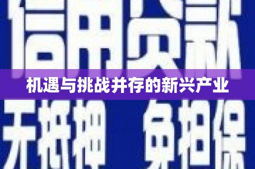 上饶机遇与挑战并存的新兴产业