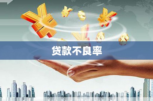 上饶贷款不良率