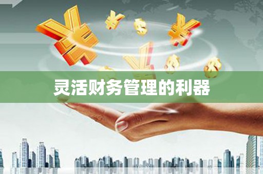 上饶灵活财务管理的利器