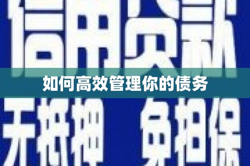 上饶如何高效管理你的债务