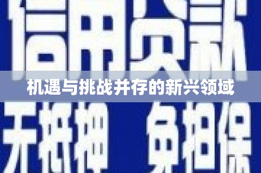 上饶机遇与挑战并存的新兴领域